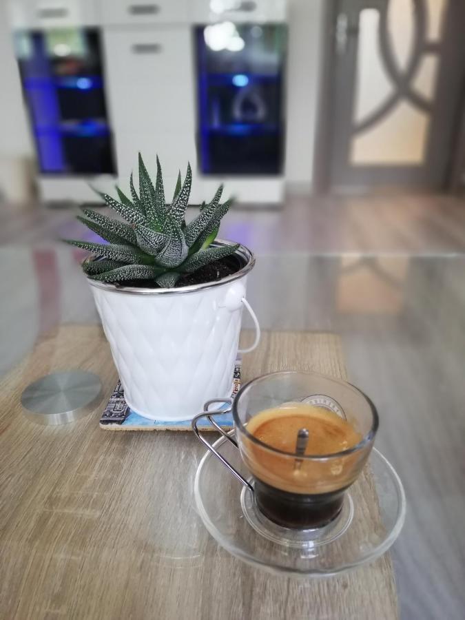 Apartment Ani Veliko Tarnovo Eksteriør billede